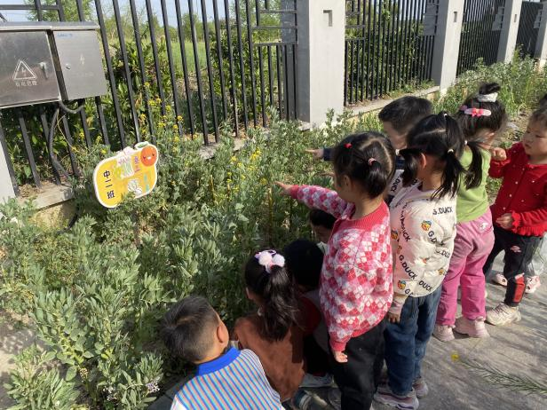 a3fa124c621442e1b038309fed25d7e0.png a3fa124c621442e1b038309fed25d7e0.png