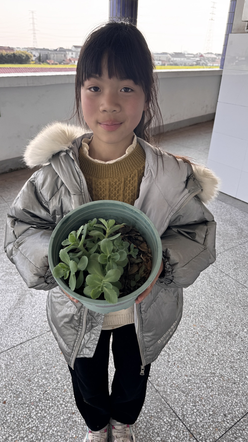 4759c149b7d04f63b32b1be1a7870fc7.jpg 4759c149b7d04f63b32b1be1a7870fc7.jpg